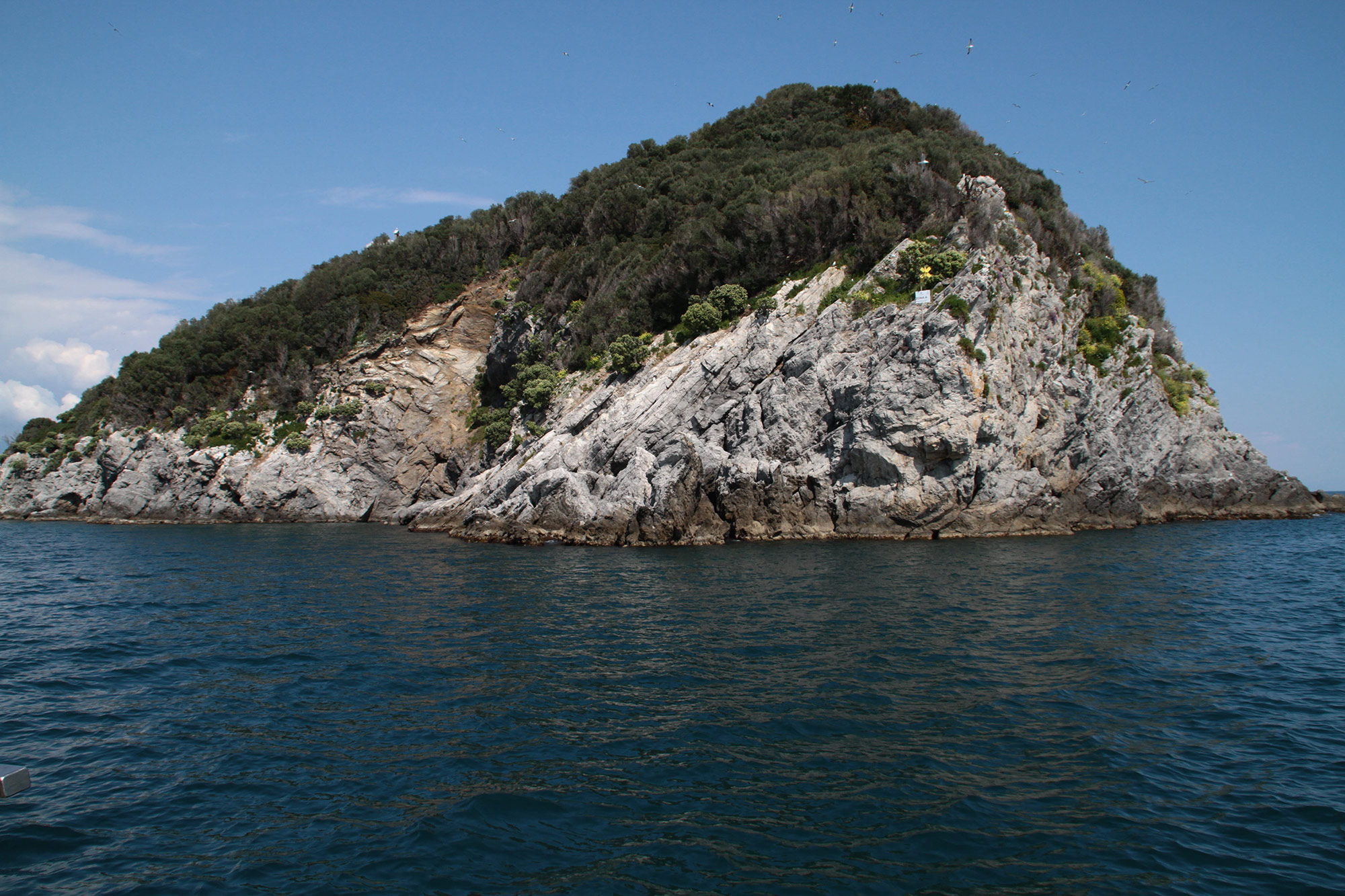isola di Bergeggi - immersione Divenjoy