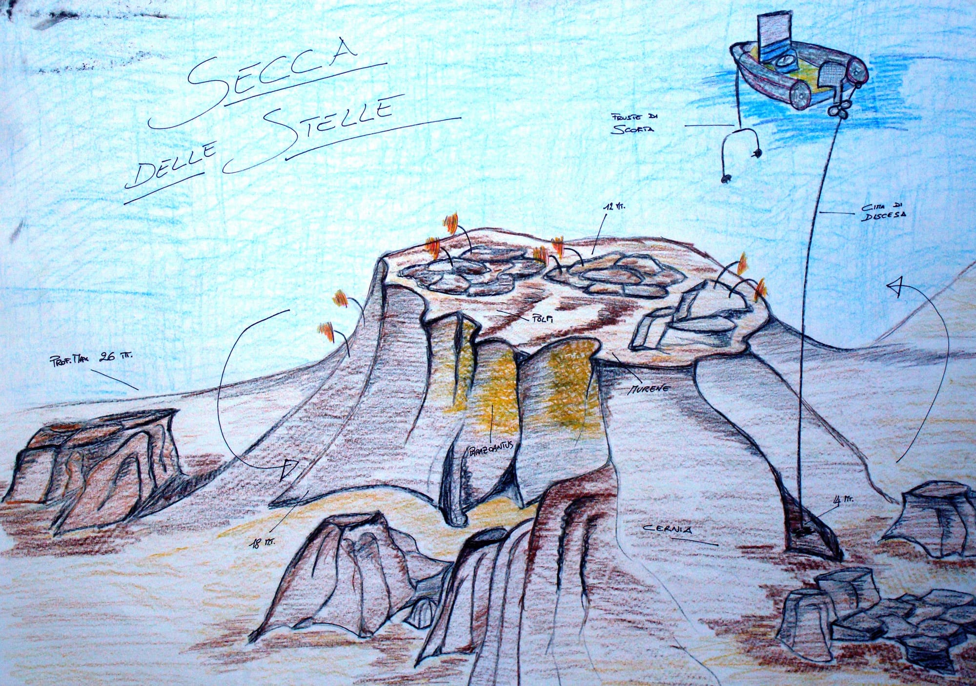 secca delle stelle